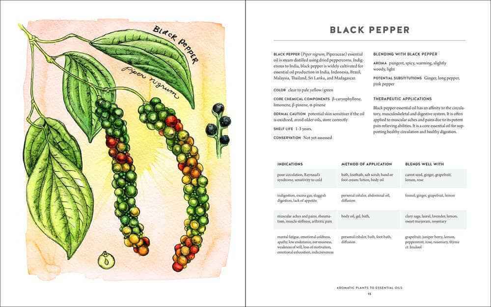 Ultimate Aromatherapy Guide: Your Illustrated Companion to Essential Oils  