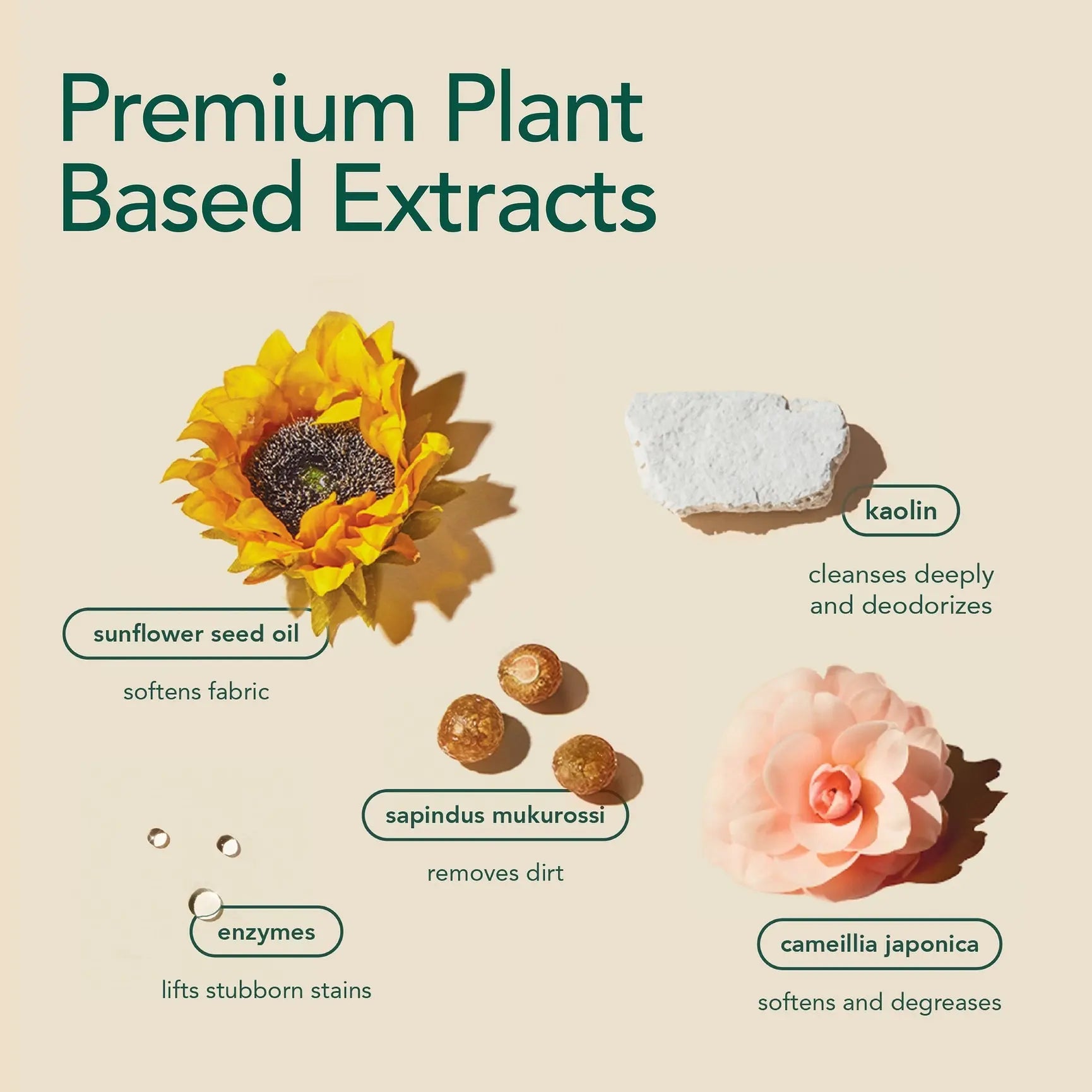 Chemical Free Laundry Detergent Sheets Kind Laundry